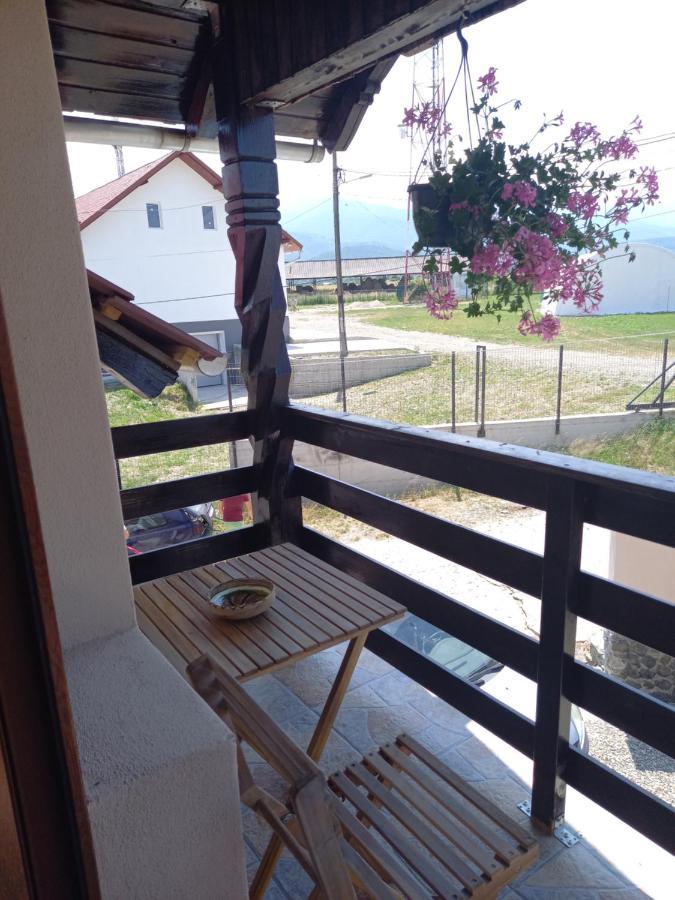 Casa Loredana Cîrţişoara Eksteriør bilde