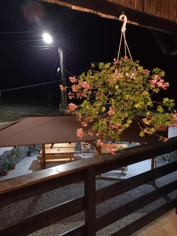 Casa Loredana Cîrţişoara Eksteriør bilde