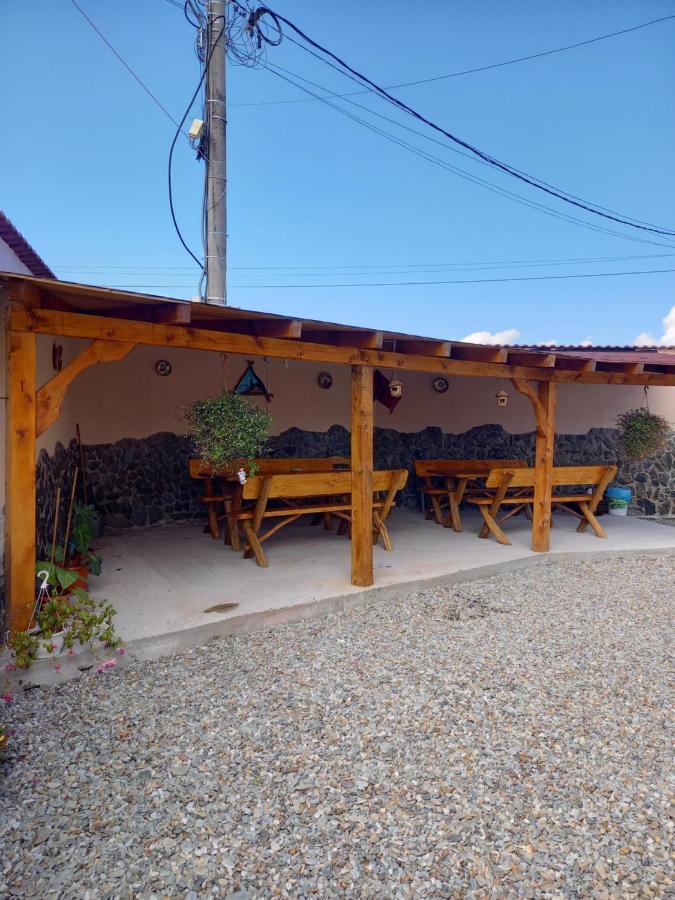 Casa Loredana Cîrţişoara Eksteriør bilde