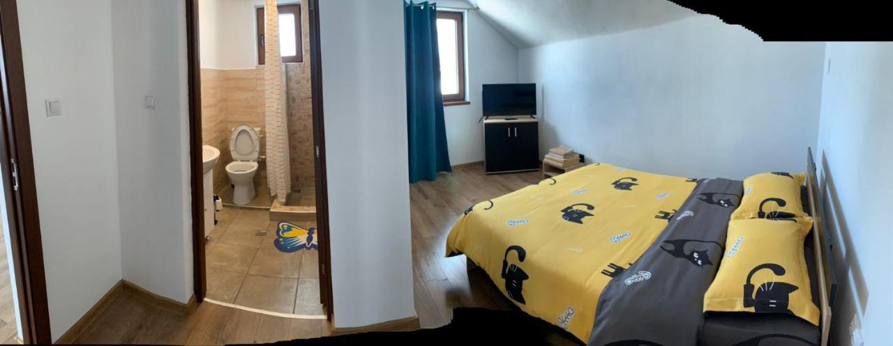 Casa Loredana Cîrţişoara Eksteriør bilde