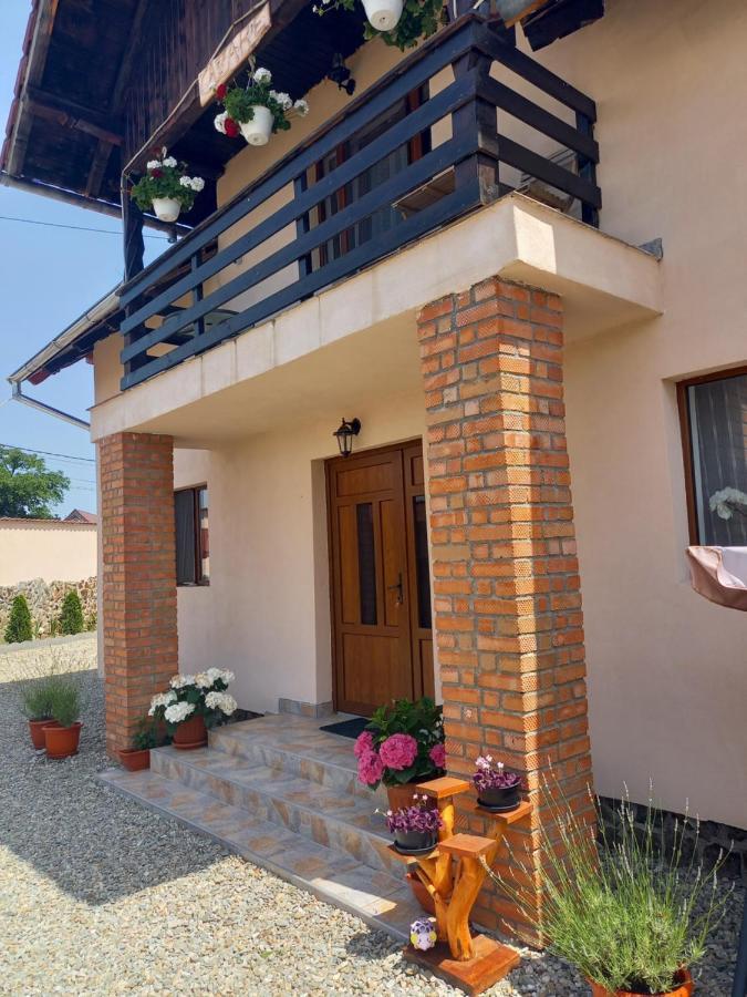 Casa Loredana Cîrţişoara Eksteriør bilde